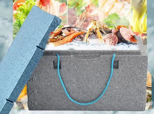 صندوق السمك EPP EPS قالب 6063 سبائك الألومنيوم للمأكولات البحرية والفواكه الطازجة